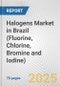 Halogens Market in Brazil (Fluorine, Chlorine, Bromine and Iodine): Business Report 2024 - Product Image