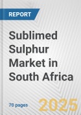 Sublimed Sulphur Market in South Africa: Business Report 2025- Product Image