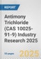 Antimony Trichloride (CAS 10025-91-9) Industry Research 2025: Global and Regional Market Trends 2019-2024 and Forecast to 2029 - Product Image