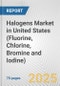 Halogens Market in United States (Fluorine, Chlorine, Bromine and Iodine): Business Report 2024 - Product Image