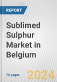 Sublimed Sulphur Market in Belgium: Business Report 2021- Product Image