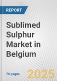 Sublimed Sulphur Market in Belgium: Business Report 2024- Product Image