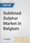 Sublimed Sulphur Market in Belgium: Business Report 2024 - Product Thumbnail Image