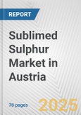 Sublimed Sulphur Market in Austria: Business Report 2024- Product Image