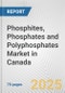 Phosphites, Phosphates and Polyphosphates Market in Canada: Business Report 2025 - Product Thumbnail Image