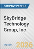 SkyBridge Technology Group, Inc. Fundamental Company Report Including Financial, SWOT, Competitors and Industry Analysis- Product Image