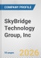 SkyBridge Technology Group, Inc. Fundamental Company Report Including Financial, SWOT, Competitors and Industry Analysis - Product Thumbnail Image