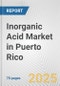 Inorganic Acid Market in Puerto Rico: Business Report 2025 - Product Thumbnail Image