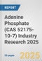 Adenine Phosphate (CAS 52175-10-7) Industry Research 2025: Global and Regional Market Trends 2019-2024 and Forecast to 2029 - Product Thumbnail Image