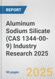 Aluminum Sodium Silicate (CAS 1344-00-9) Industry Research 2025: Global and Regional Market Trends 2019-2024 and Forecast to 2029- Product Image
