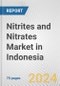 Nitrites and Nitrates Market in Indonesia: Business Report 2022 - Product Thumbnail Image