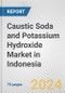 Caustic Soda and Potassium Hydroxide Market in Indonesia: Business Report 2022 - Product Thumbnail Image