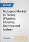 Halogens Market in Turkey (Fluorine, Chlorine, Bromine and Iodine): Business Report 2024 - Product Image