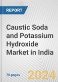 Caustic Soda and Potassium Hydroxide Market in India: Business Report 2024- Product Image