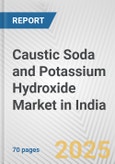 Caustic Soda and Potassium Hydroxide Market in India: Business Report 2024- Product Image