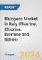 Halogens Market in Italy (Fluorine, Chlorine, Bromine and Iodine): Business Report 2022 - Product Thumbnail Image