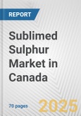 Sublimed Sulphur Market in Canada: Business Report 2024- Product Image