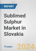 Sublimed Sulphur Market in Slovakia: Business Report 2024- Product Image
