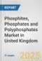 Phosphites, Phosphates and Polyphosphates Market in United Kingdom: Business Report 2024 - Product Thumbnail Image