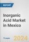 Inorganic Acid Market in Mexico: Business Report 2024 - Product Thumbnail Image