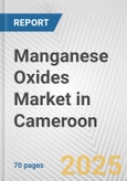 Manganese Oxides Market in Cameroon: Business Report 2025- Product Image