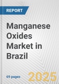 Manganese Oxides Market in Brazil: Business Report 2024- Product Image