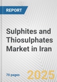Sulphites and Thiosulphates Market in Iran: Business Report 2025- Product Image
