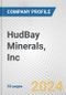 HudBay Minerals, Inc. Fundamental Company Report Including Financial, SWOT, Competitors and Industry Analysis - Product Thumbnail Image