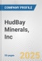 HudBay Minerals, Inc. Fundamental Company Report Including Financial, SWOT, Competitors and Industry Analysis - Product Thumbnail Image