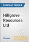 Hillgrove Resources Ltd. Fundamental Company Report Including Financial, SWOT, Competitors and Industry Analysis - Product Thumbnail Image