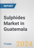 Sulphides Market in Guatemala: Business Report 2024- Product Image