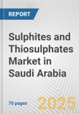 Sulphites and Thiosulphates Market in Saudi Arabia: Business Report 2024- Product Image