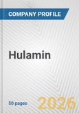 Hulamin Fundamental Company Report Including Financial, SWOT, Competitors and Industry Analysis- Product Image