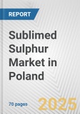 Sublimed Sulphur Market in Poland: Business Report 2025- Product Image