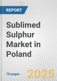 Sublimed Sulphur Market in Poland: Business Report 2024- Product Image