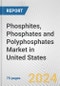 Phosphites, Phosphates and Polyphosphates Market in United States: Business Report 2024 - Product Thumbnail Image