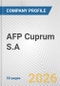 AFP Cuprum S.A. Fundamental Company Report Including Financial, SWOT, Competitors and Industry Analysis - Product Thumbnail Image