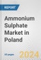 Ammonium Sulphate Market in Poland: 2017-2023 Review and Forecast to 2027 - Product Thumbnail Image