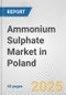 Ammonium Sulphate Market in Poland: 2017-2023 Review and Forecast to 2027 - Product Thumbnail Image