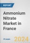 Ammonium Nitrate Market in France: 2017-2023 Review and Forecast to 2027 - Product Image