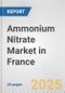 Ammonium Nitrate Market in France: 2017-2023 Review and Forecast to 2027 - Product Image