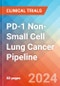 PD-1 Non-Small Cell Lung Cancer (PD-1+ NSCLC) - Pipeline Insight, 2024 - Product Image