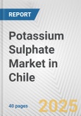 Potassium Sulphate Market in Chile: 2019-2024 Review and Forecast to 2029- Product Image
