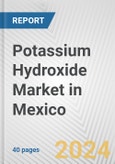 Potassium Hydroxide Market in Mexico: 2017-2023 Review and Forecast to 2027- Product Image