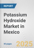 Potassium Hydroxide Market in Mexico: 2019-2024 Review and Forecast to 2029- Product Image