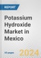 Potassium Hydroxide Market in Mexico: 2017-2023 Review and Forecast to 2027 - Product Image