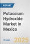 Potassium Hydroxide Market in Mexico: 2019-2024 Review and Forecast to 2029 - Product Image