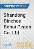 Shandong Binzhou Bohai Piston Co. Ltd. Fundamental Company Report Including Financial, SWOT, Competitors and Industry Analysis- Product Image