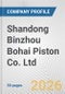 Shandong Binzhou Bohai Piston Co. Ltd. Fundamental Company Report Including Financial, SWOT, Competitors and Industry Analysis - Product Thumbnail Image