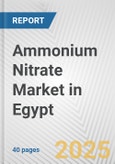 Ammonium Nitrate Market in Egypt: 2019-2024 Review and Forecast to 2029- Product Image